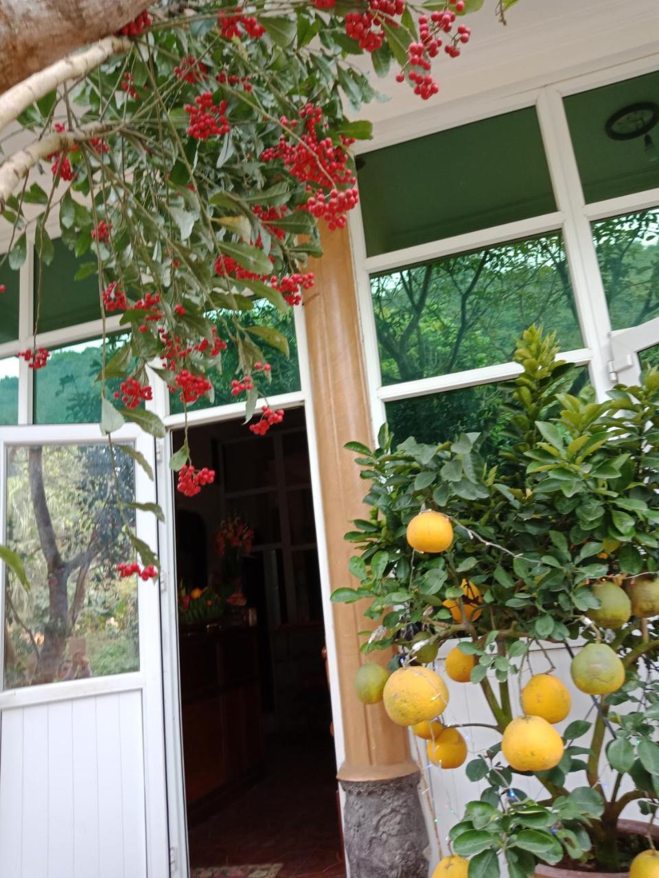 Cuc Phuong Hao Tham Homestay Hotel Nho Quan Екстериор снимка